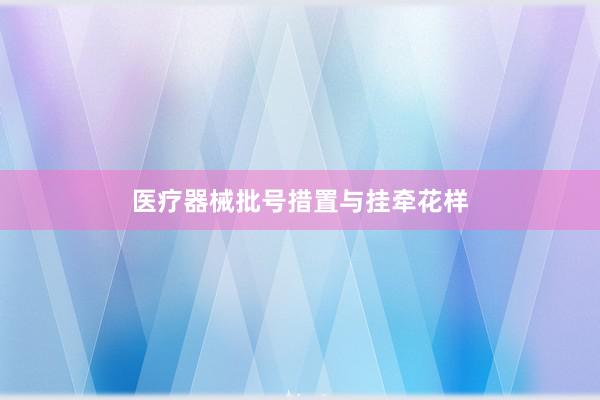 医疗器械批号措置与挂牵花样