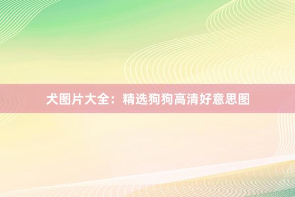 犬图片大全：精选狗狗高清好意思图