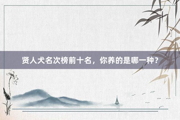 贤人犬名次榜前十名，你养的是哪一种？