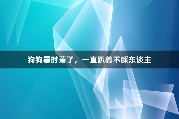 狗狗霎时蔫了，一直趴着不睬东谈主